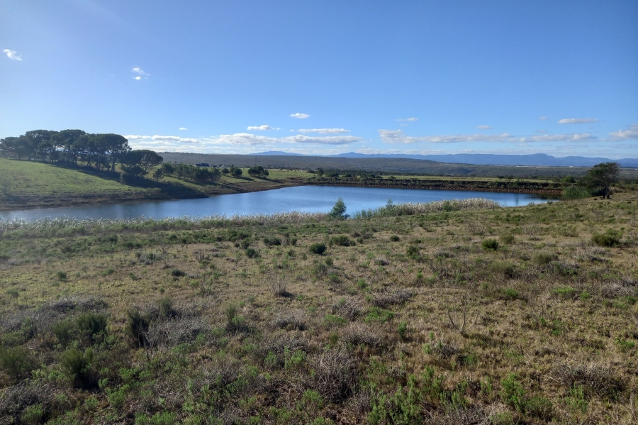 4 Bedroom Property for Sale in Kabeljauws Eastern Cape